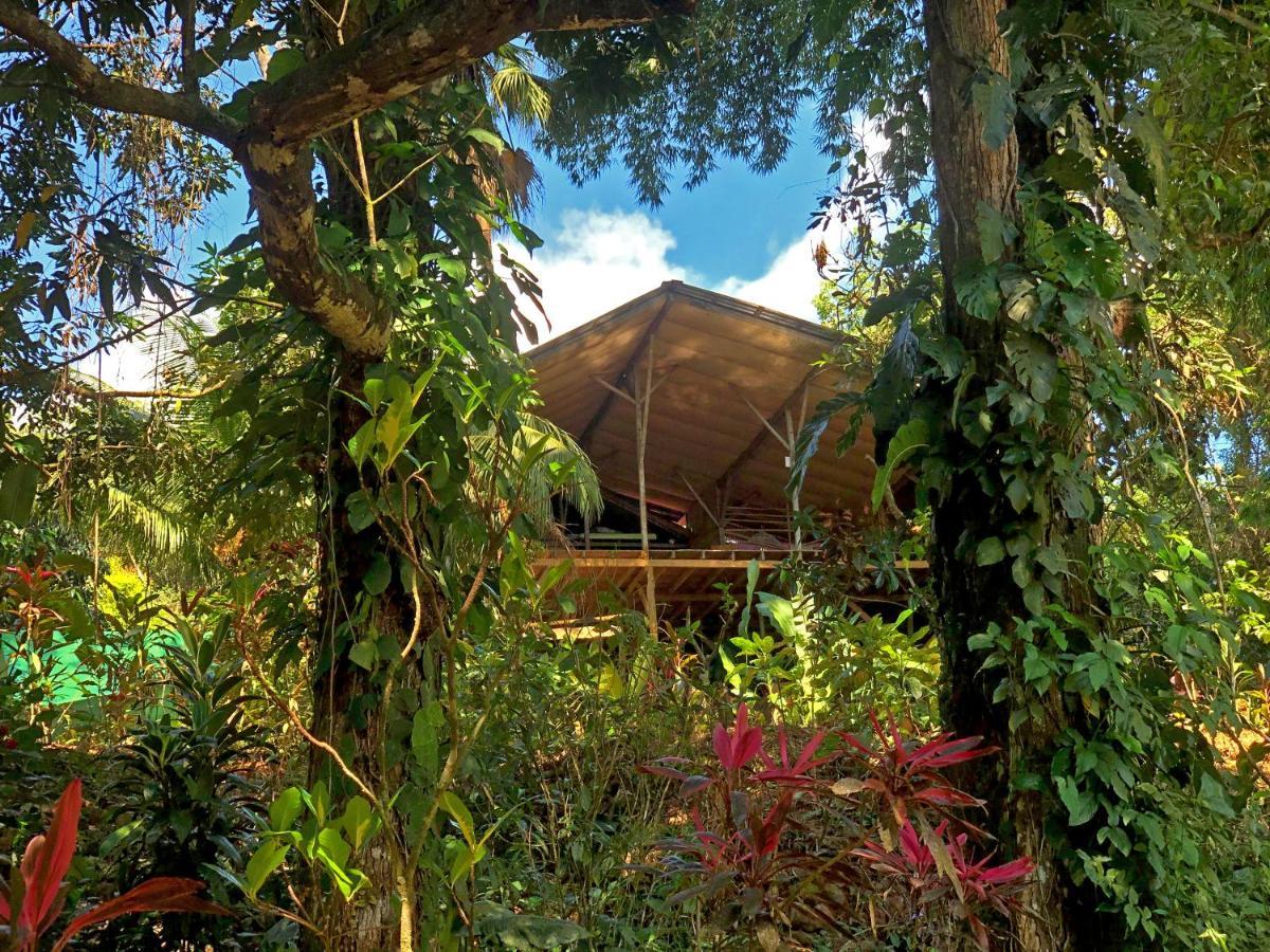 Cascada Verde Hostel 우비타 외부 사진